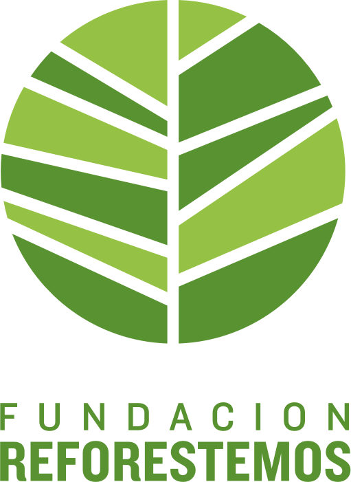 Logo Fundación